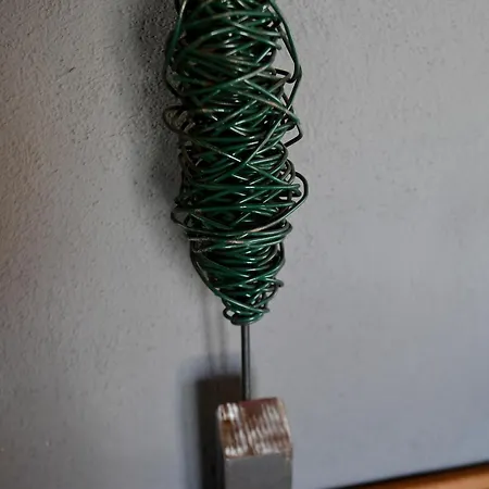 La Tana Del Bianconiglio *