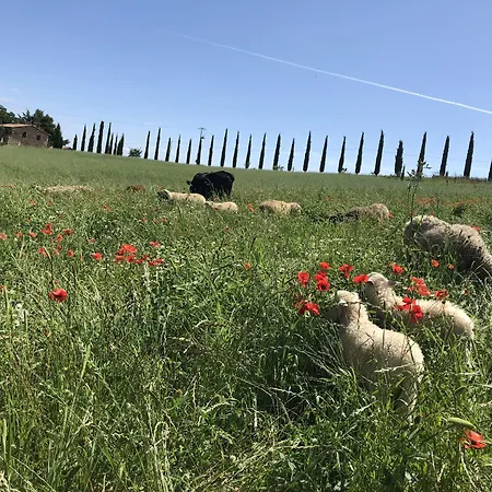 Vakantieboerderij La Tana Del Bianconiglio