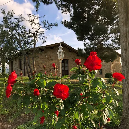 Vakantieboerderij La Tana Del Bianconiglio