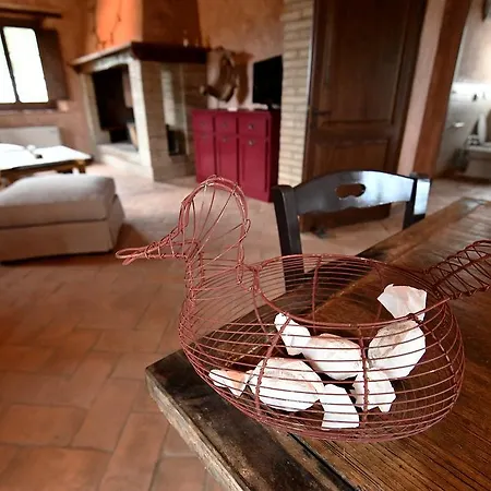 Farm stay La Tana Del Bianconiglio *