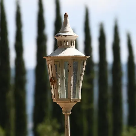 Vakantieboerderij La Tana Del Bianconiglio *