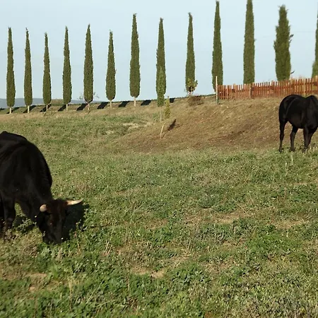 La Tana Del Bianconiglio Vakantieboerderij *