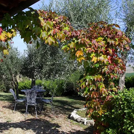 La Tana Del Bianconiglio Farm stay Castiglione d'Orcia